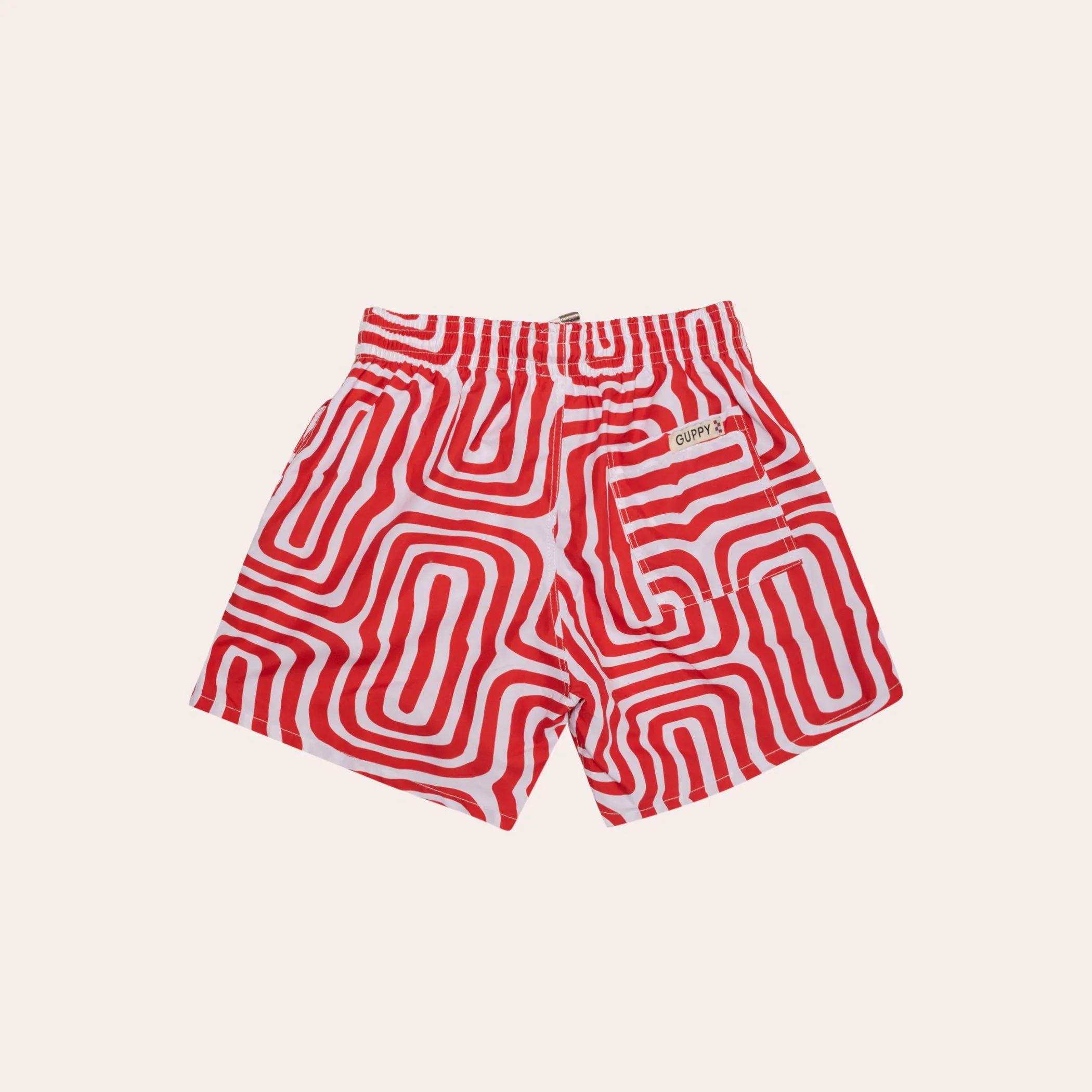 Ari Swim Shorts