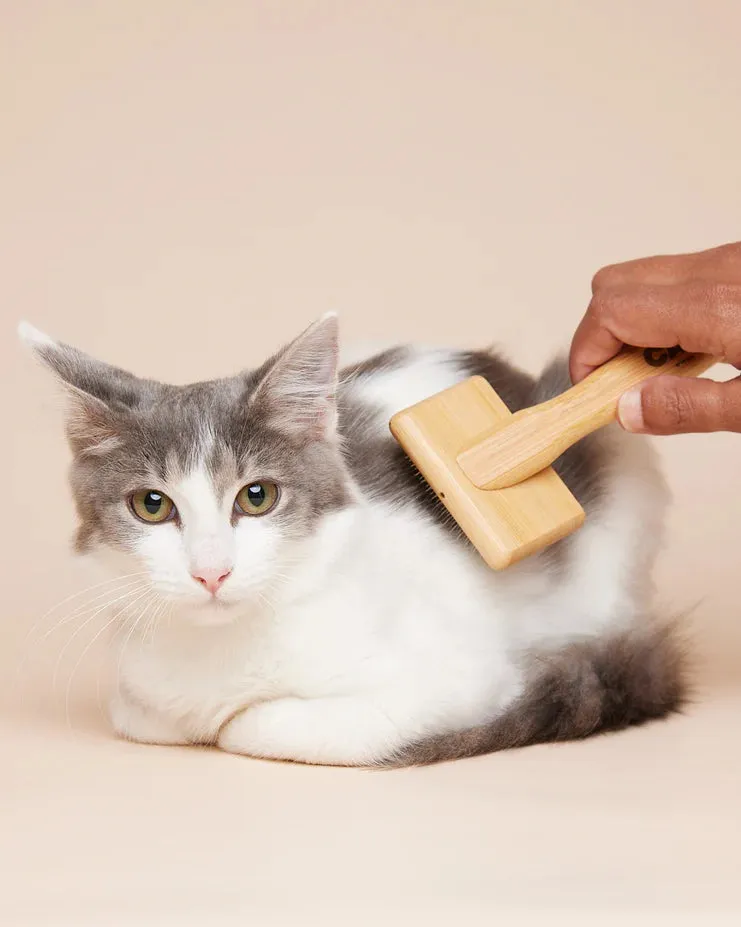 Cat Slicker Brush