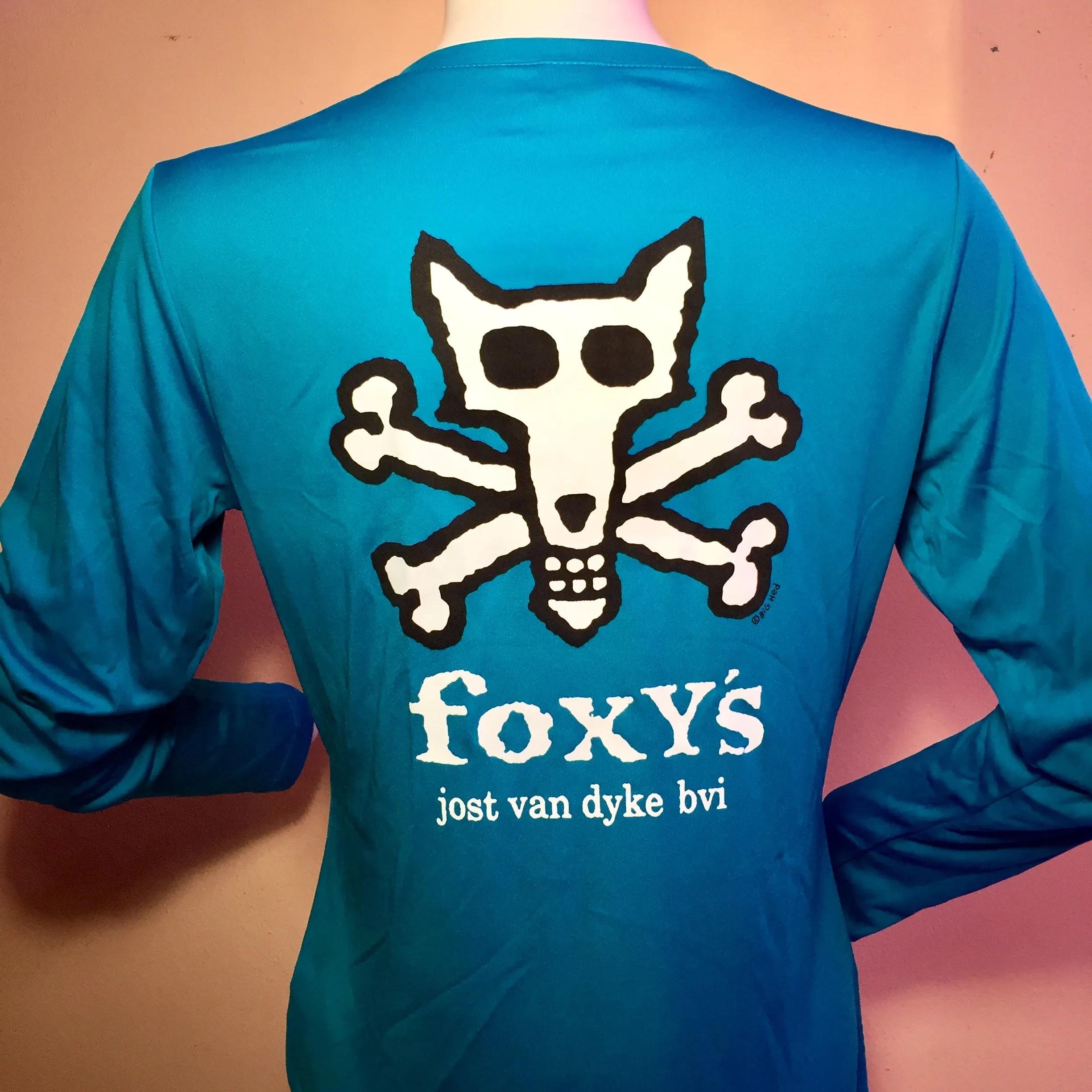 Foxy's 'Skull & Bones'Ladies Vneck Long Sleeve Performance Tee