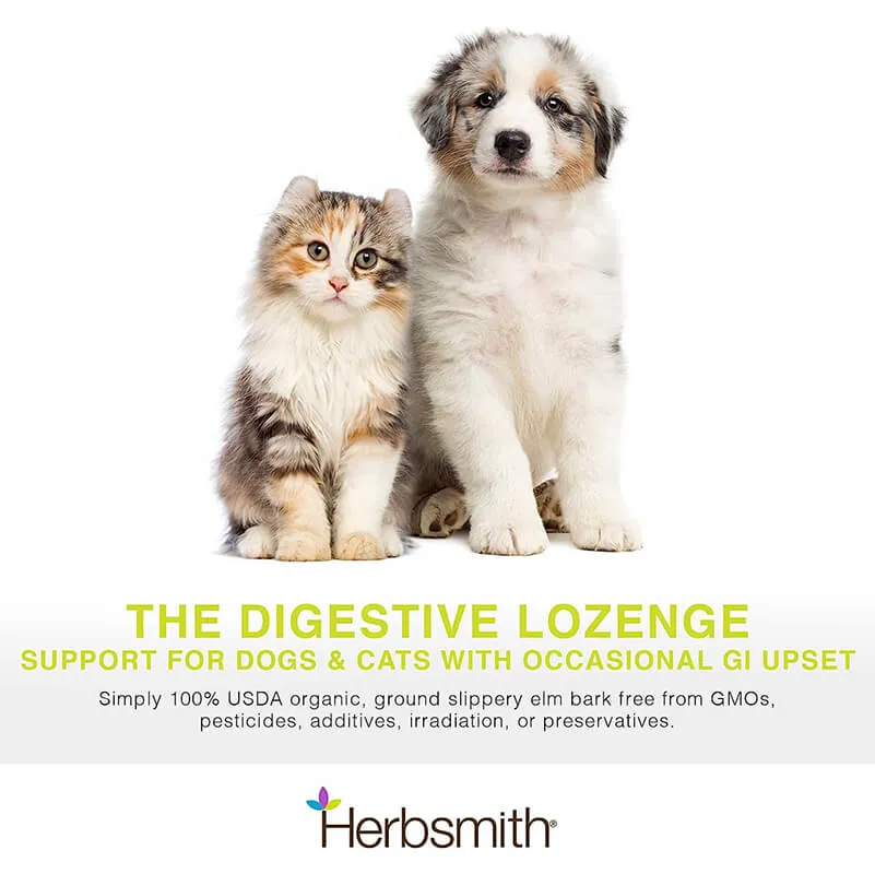 Herbsmith Slippery Elm Powder for Dogs and Cats
