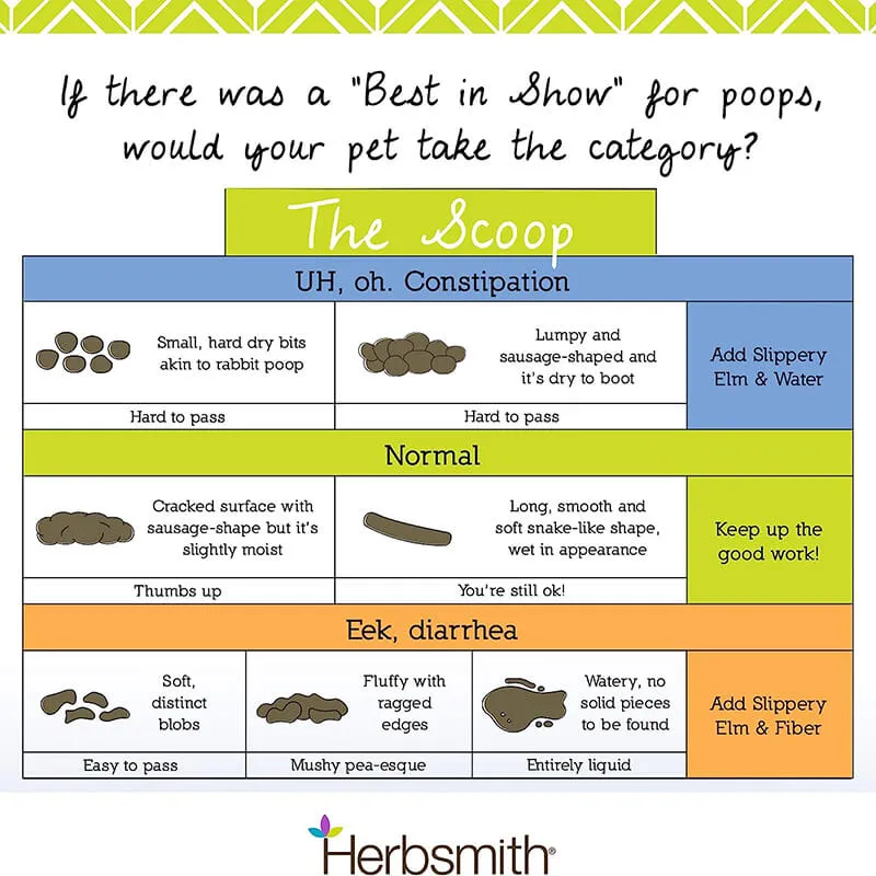 Herbsmith Slippery Elm Powder for Dogs and Cats