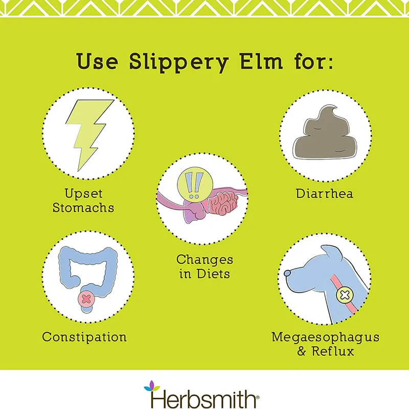 Herbsmith Slippery Elm Powder for Dogs and Cats