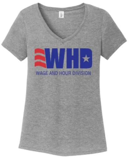 Ladies V Neck Tee - WHD24