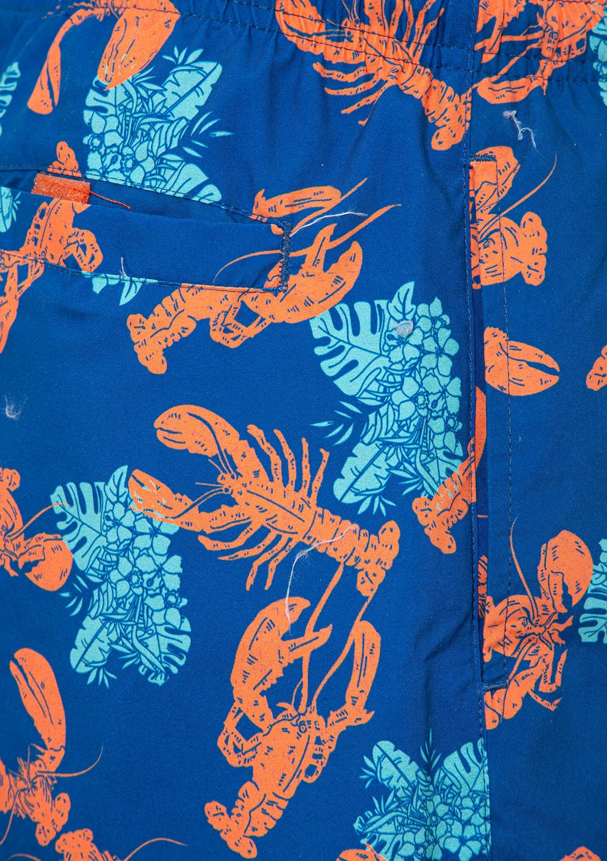 Lobster Printed Navy Trunks