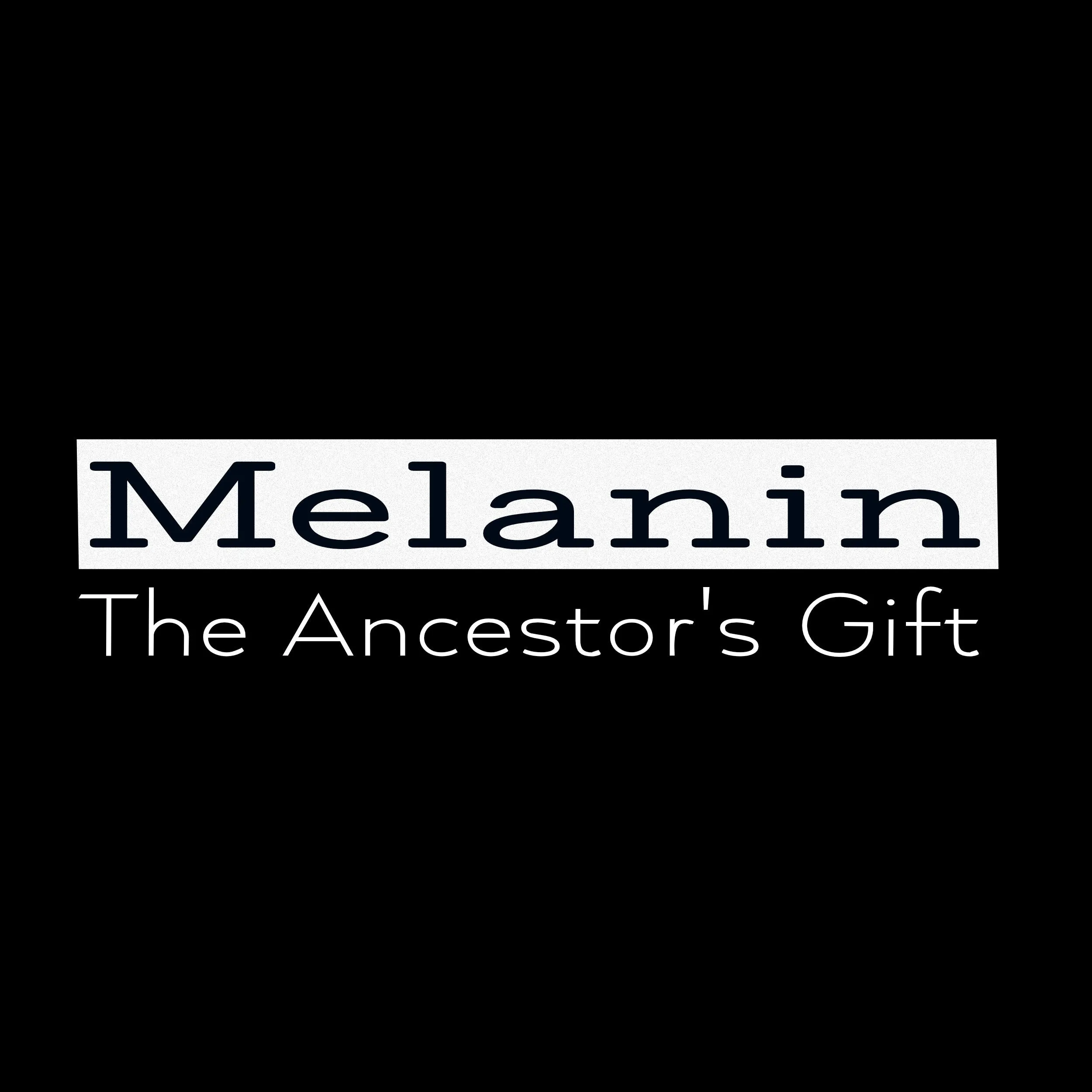 Melanin T shirt Ancestors Gift V Neck
