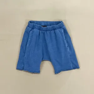 Nash Shorts | Denim