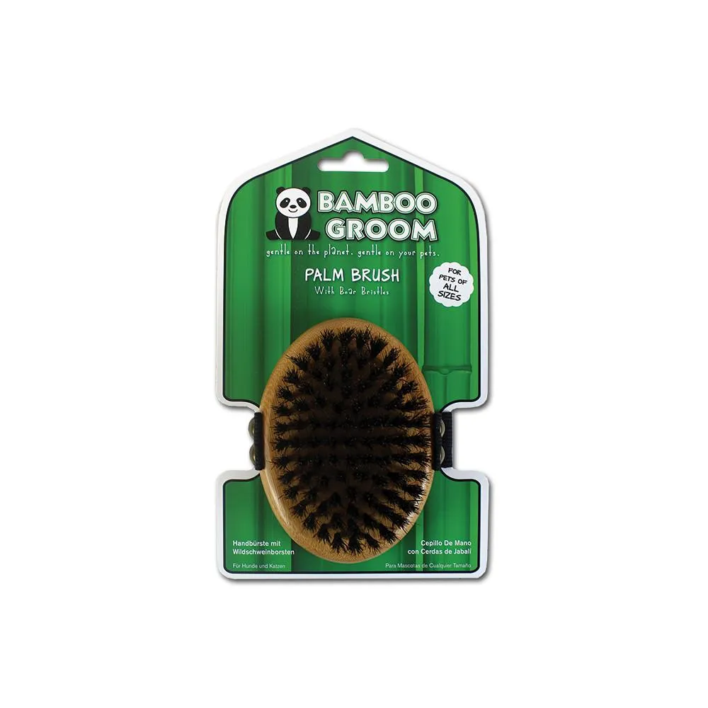 Palm Brush with Boar Bristles