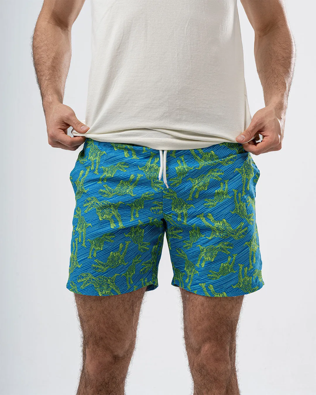Printed Mens Swimsuit