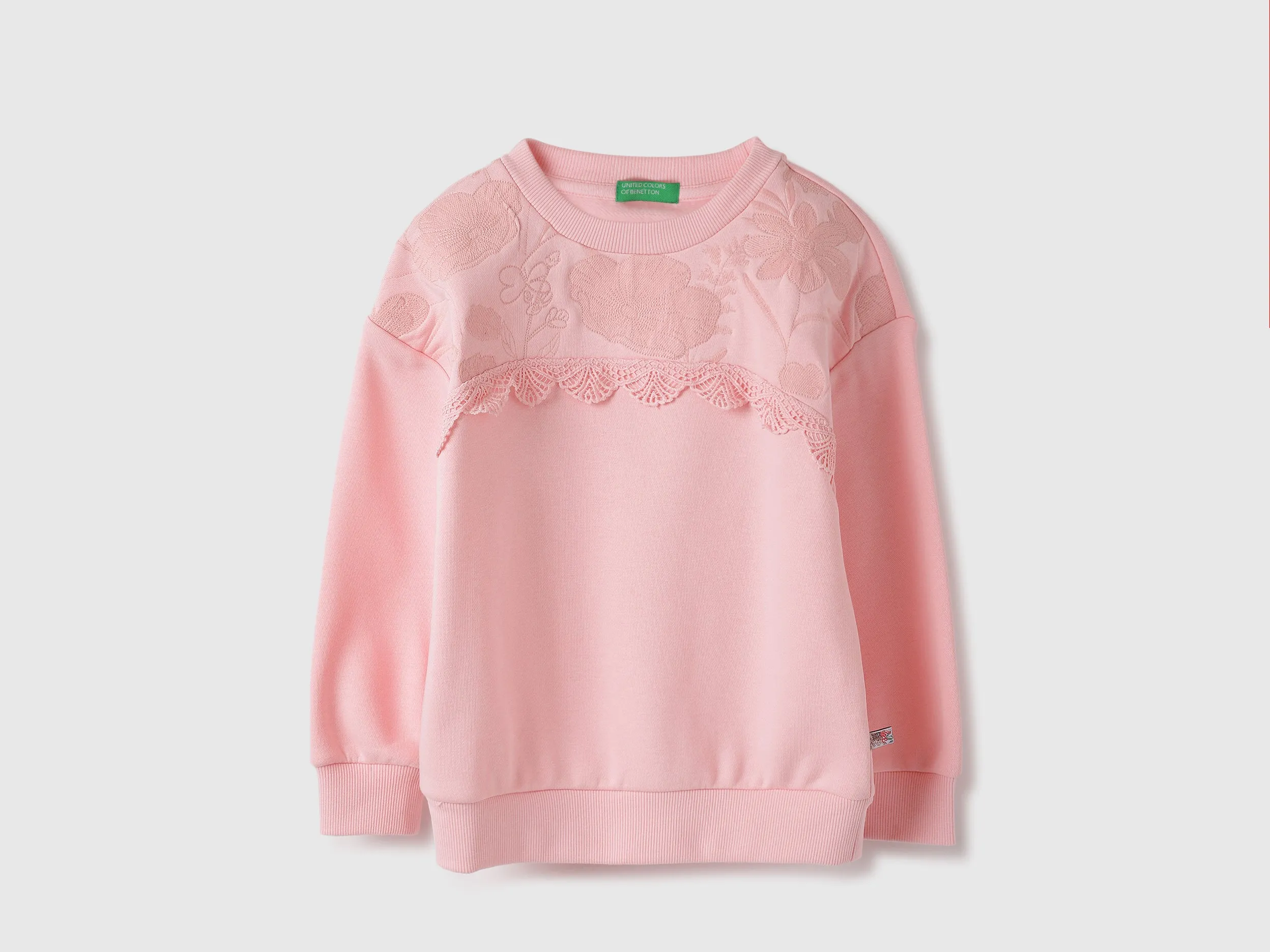 Regular Fit Round Neck Embroidered Sweatshirts