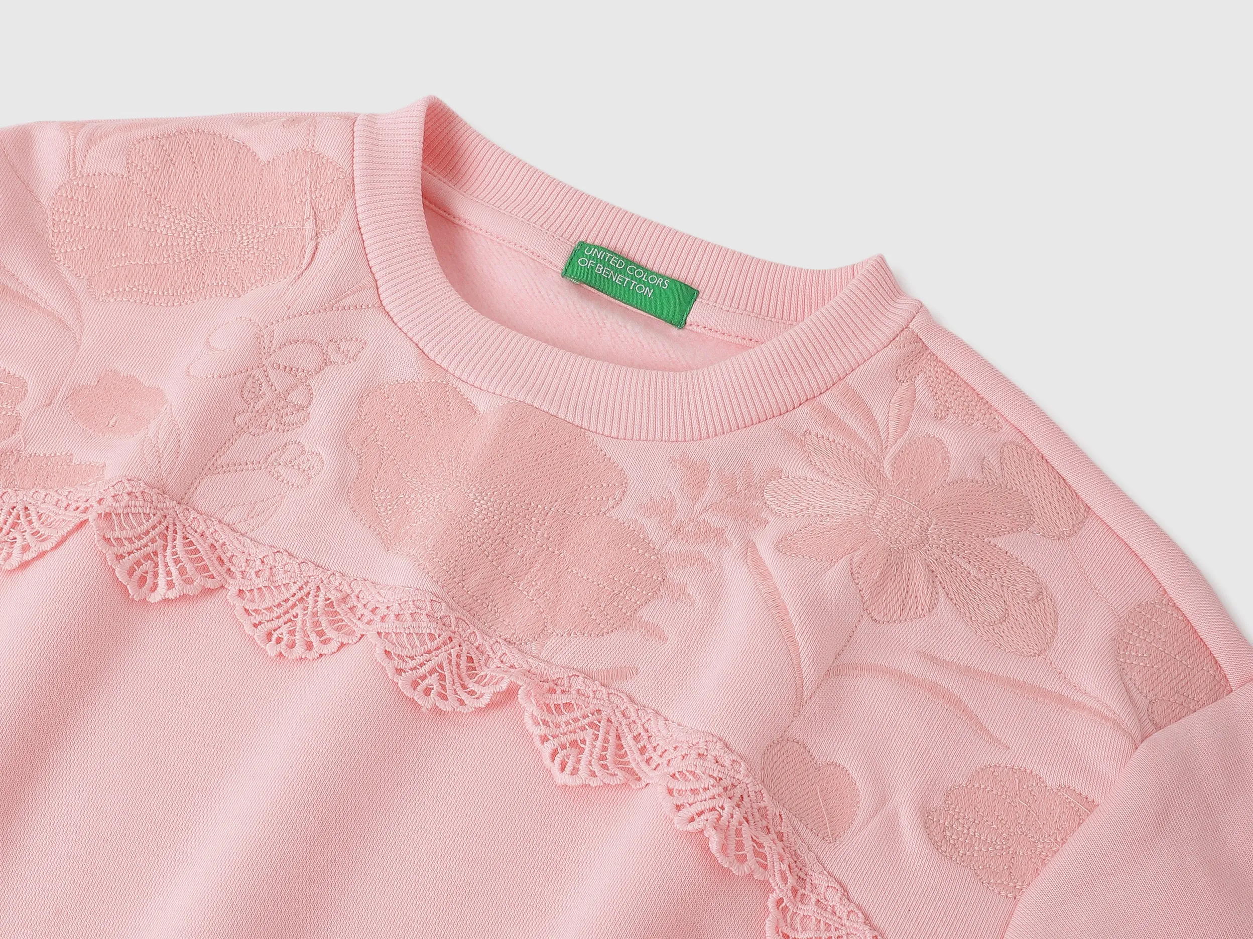 Regular Fit Round Neck Embroidered Sweatshirts