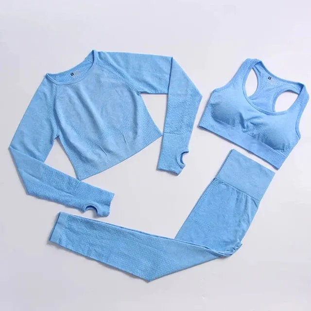 Seamless Yoga Suit: Sports Shirts, Crop Top, Leggings, Gym Clothes Fitness Tracksuit, Workout Set