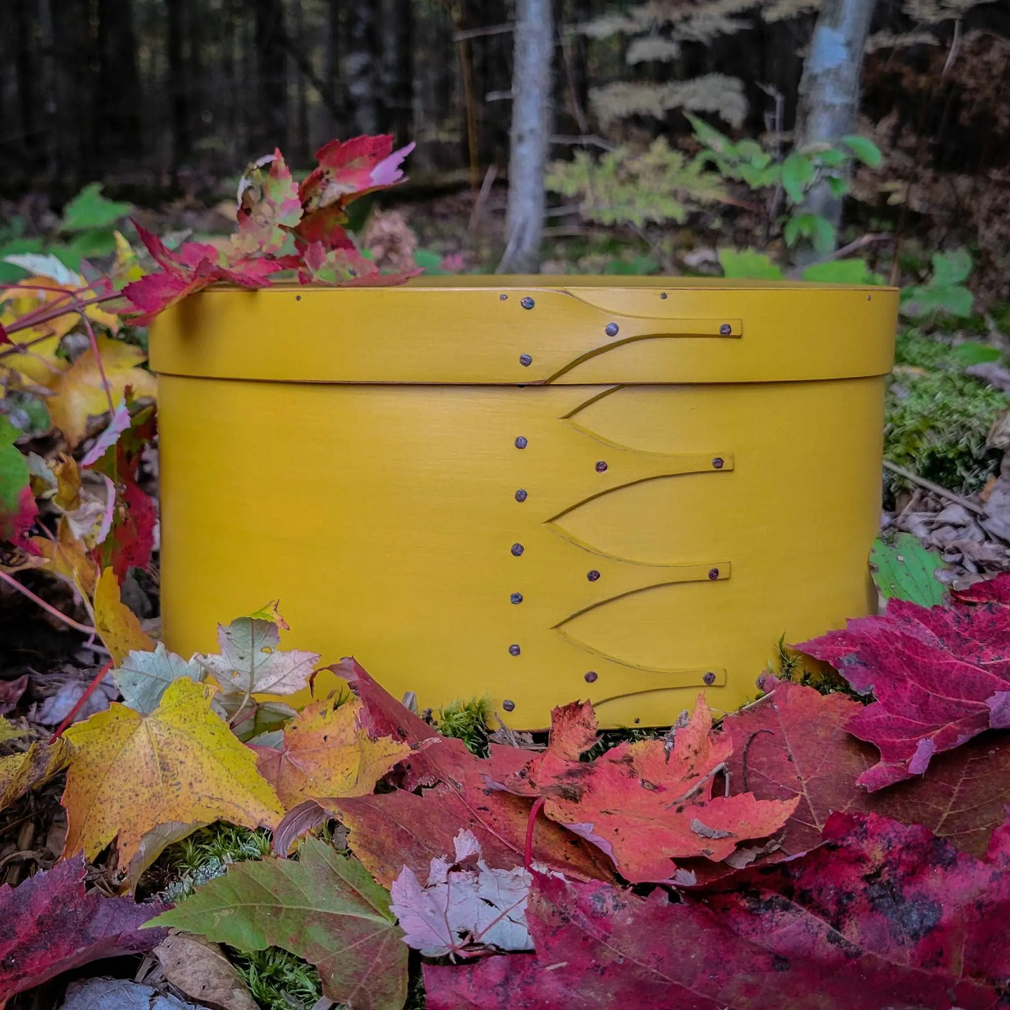 Size #5 Tall Shaker Box